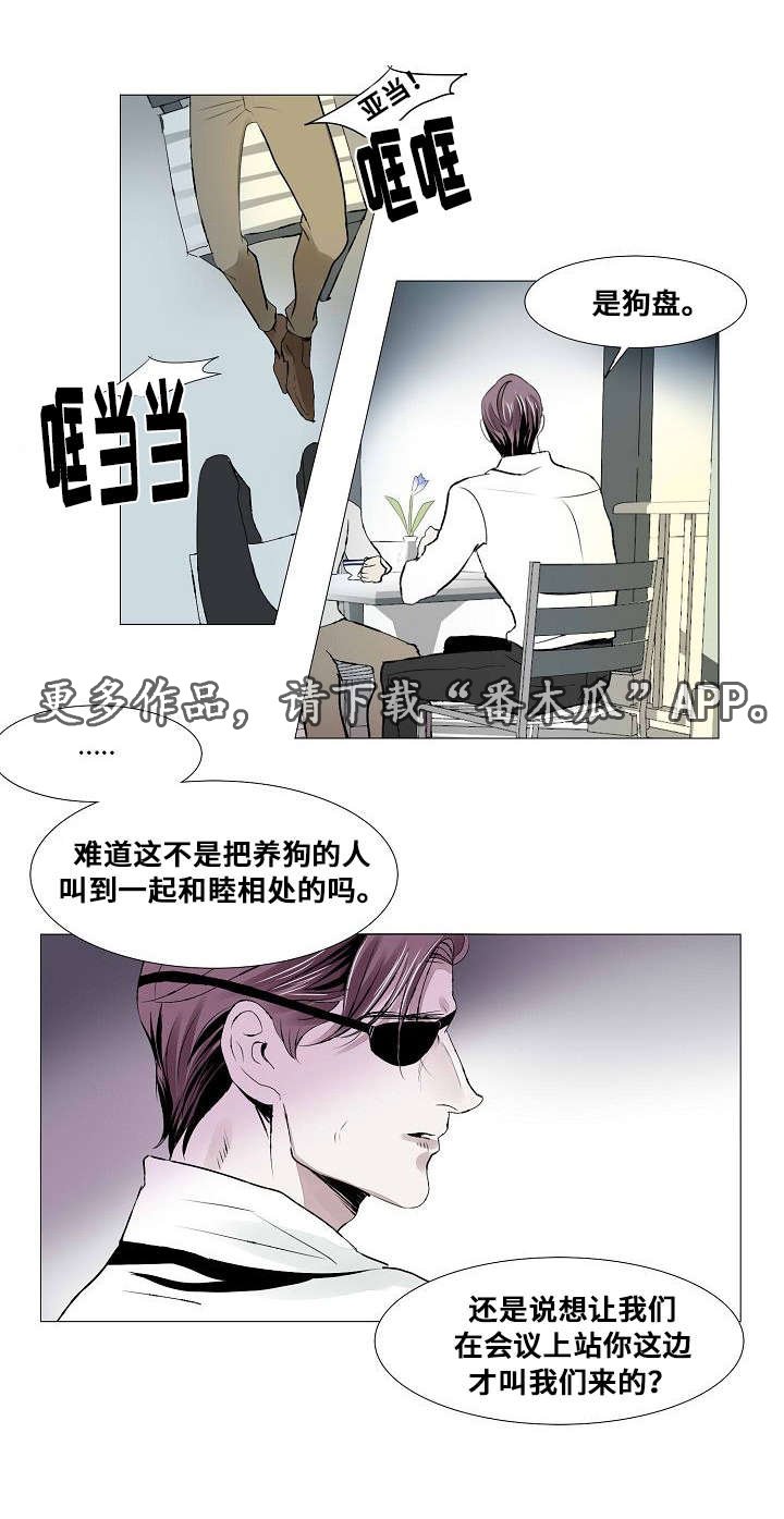 第21章：组织的往事