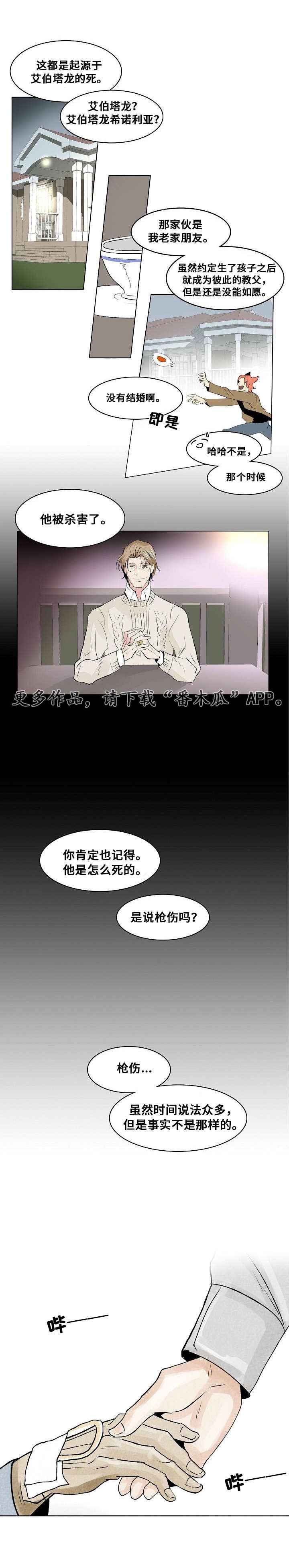 第21章：组织的往事