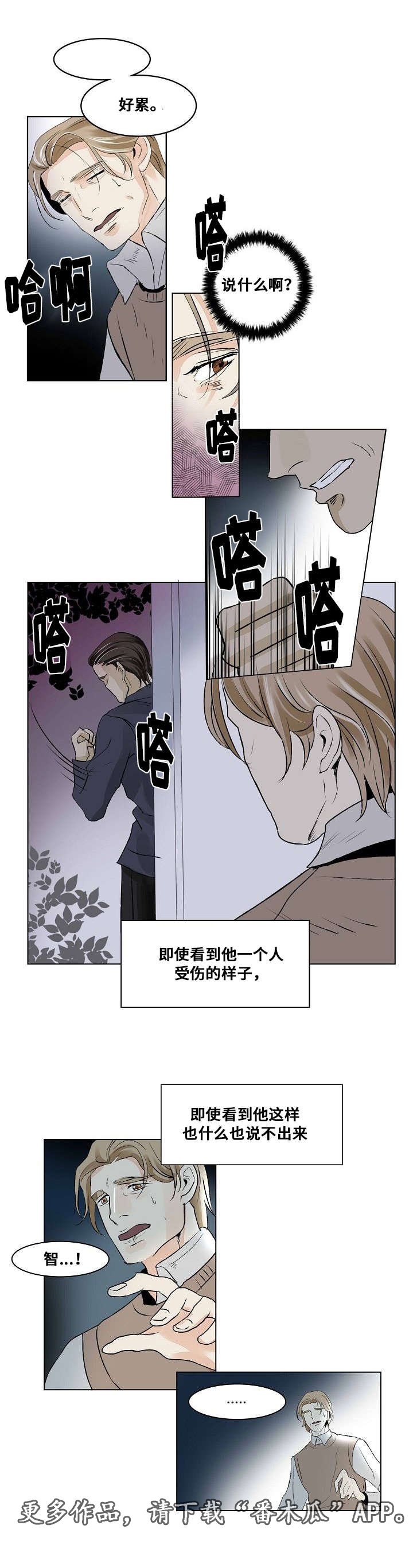第21章：组织的往事