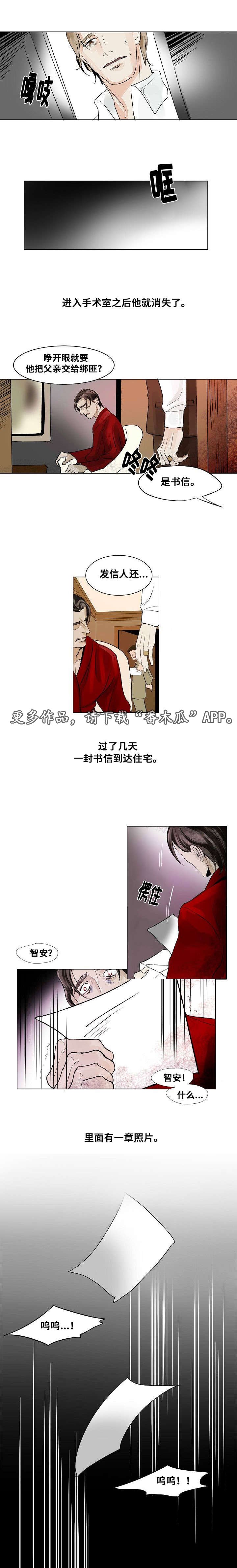 第21章：组织的往事