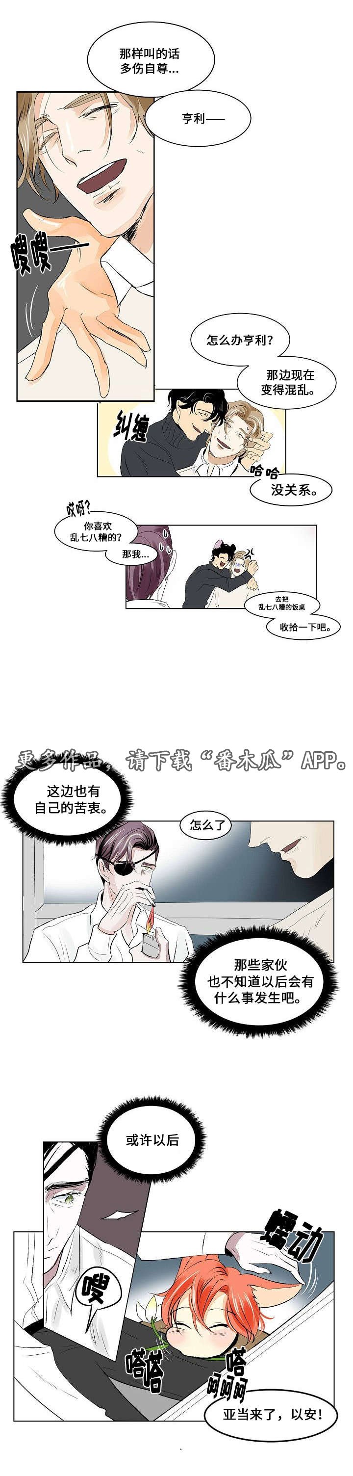 第22章：社会化