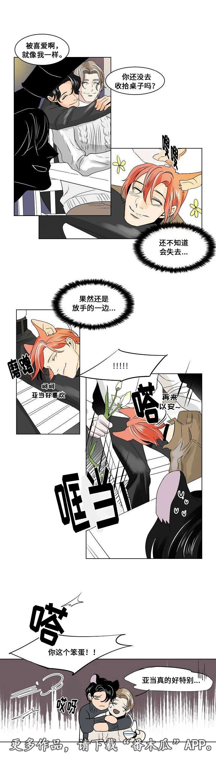 第22章：社会化