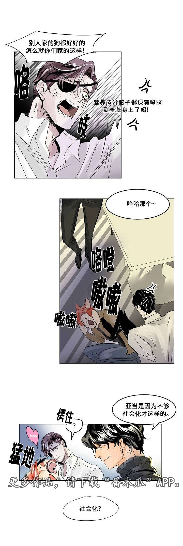 第22章：社会化