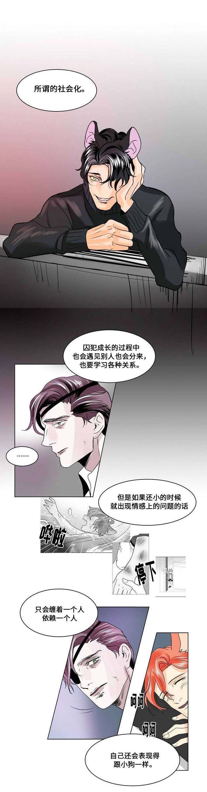 第22章：社会化