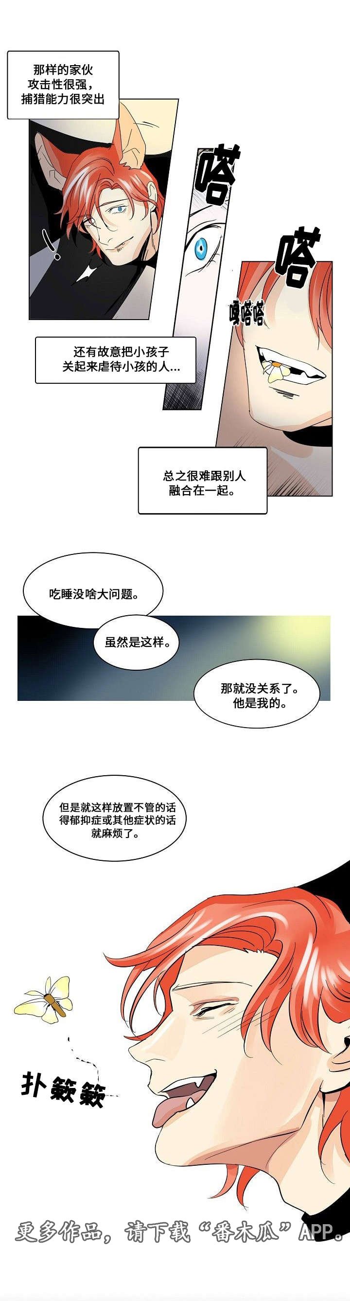 第22章：社会化