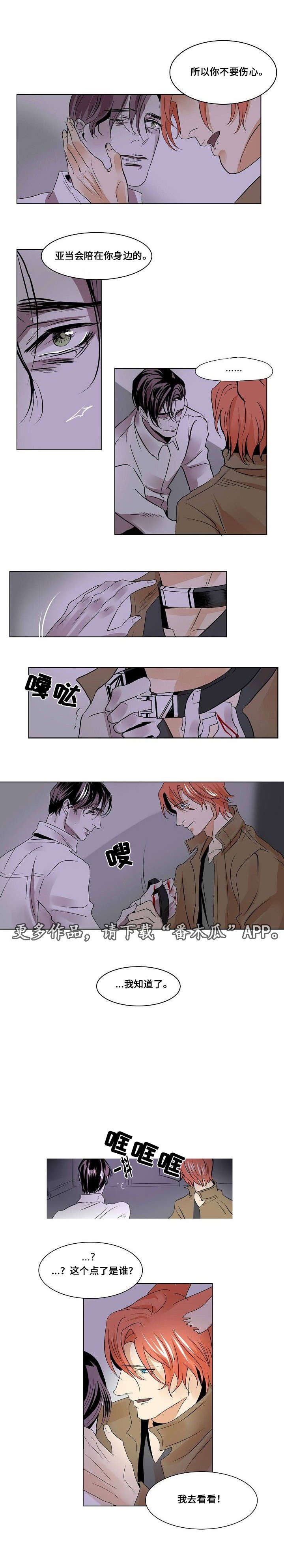 第24章：逮捕