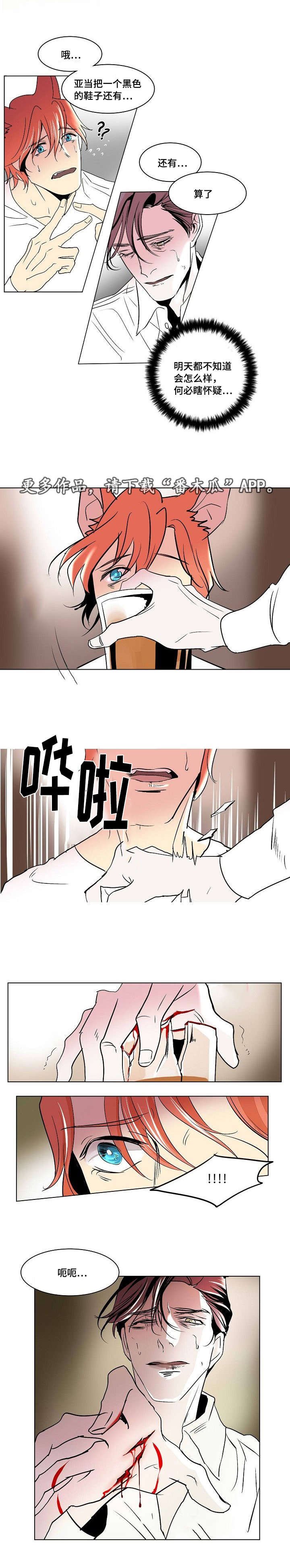 第29章：残存的火种