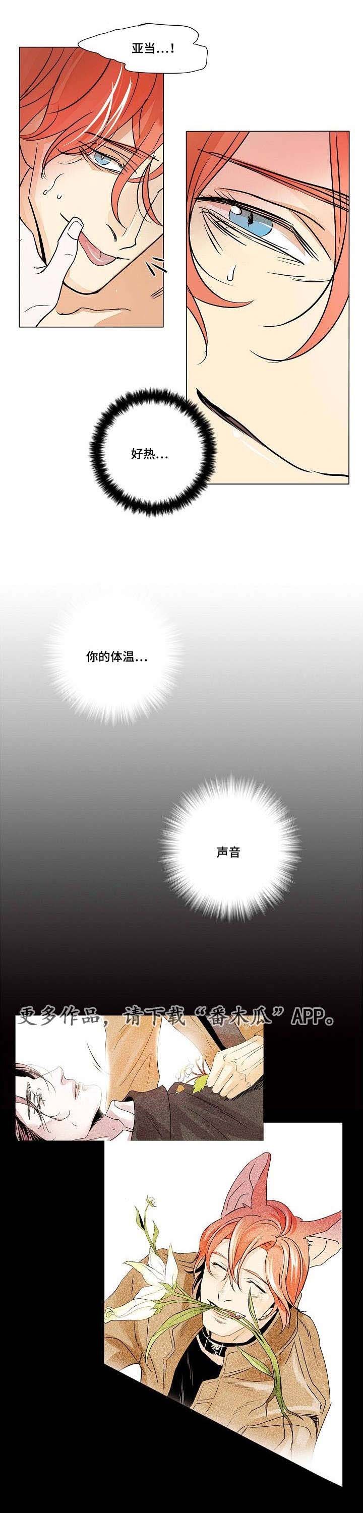 第29章：残存的火种