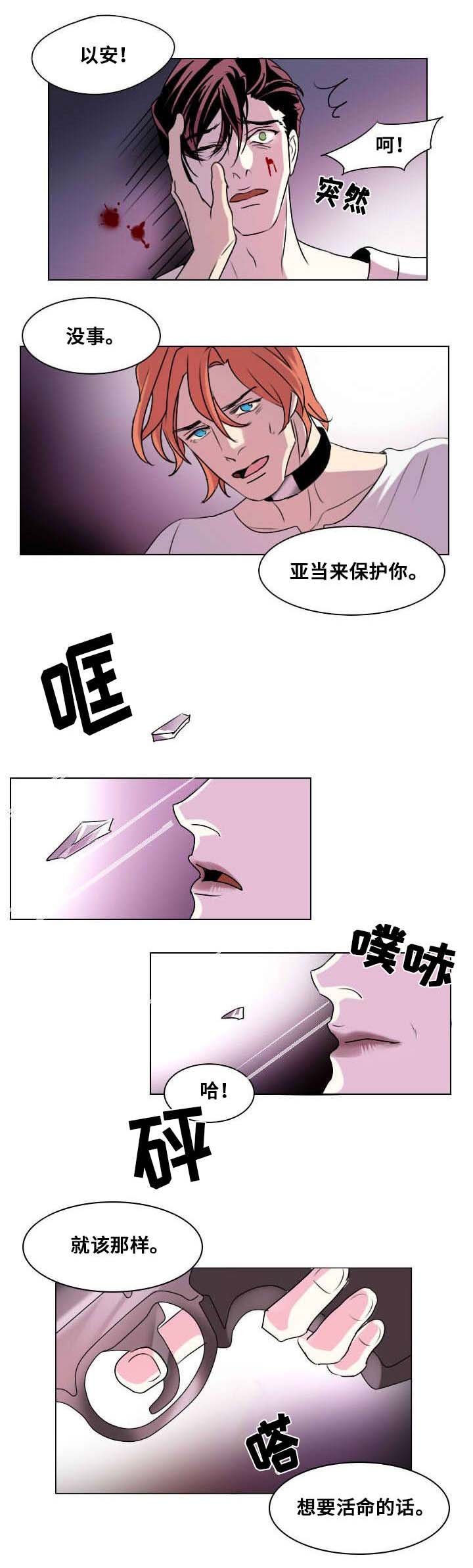 第3章：我会守护你