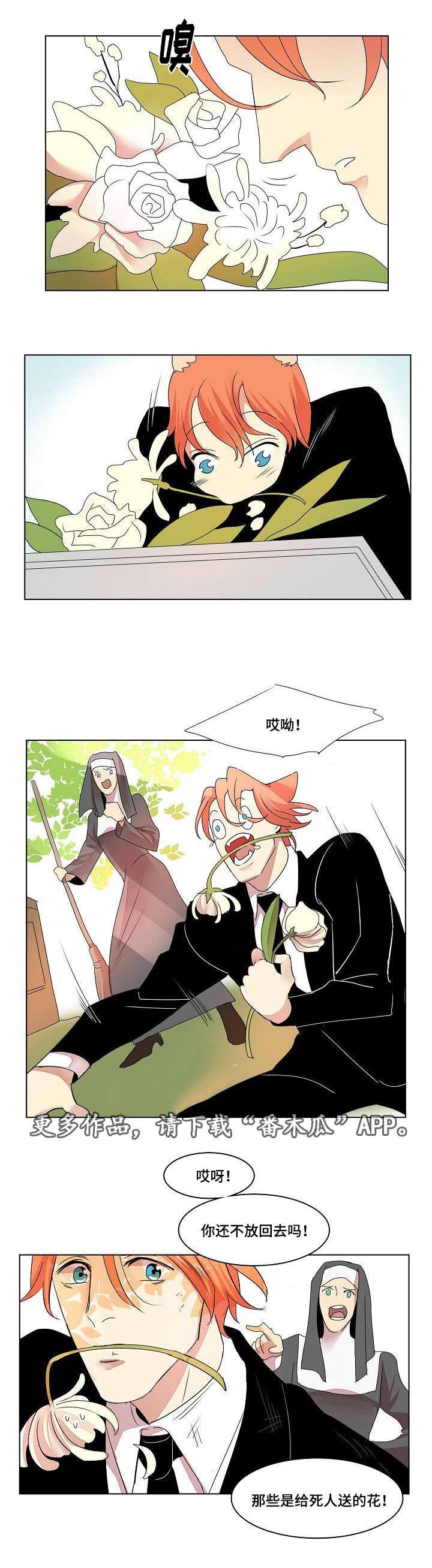 第34章：日记