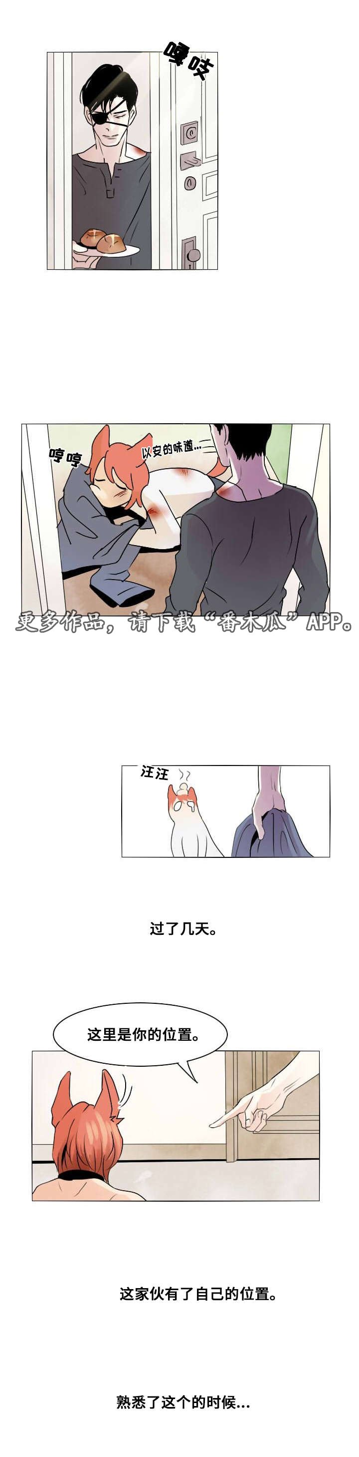 第6章：默许