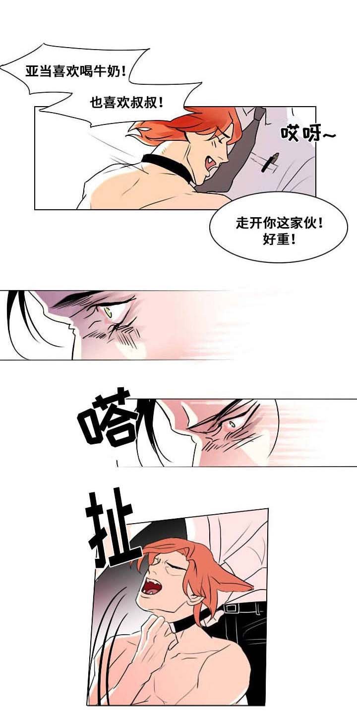 第7章：相像之人