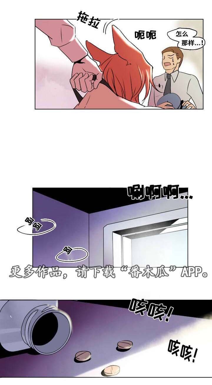 第7章：相像之人