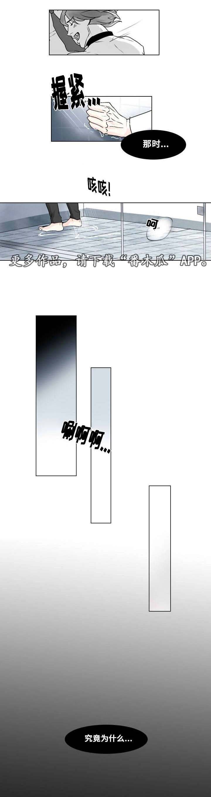 第7章：相像之人