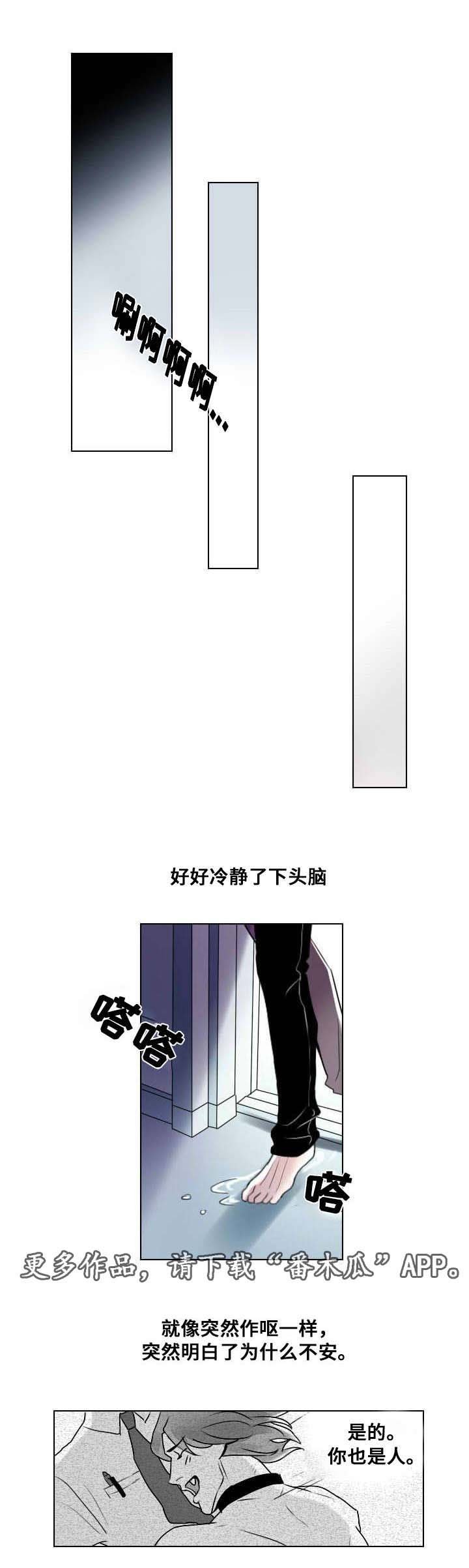 第7章：相像之人
