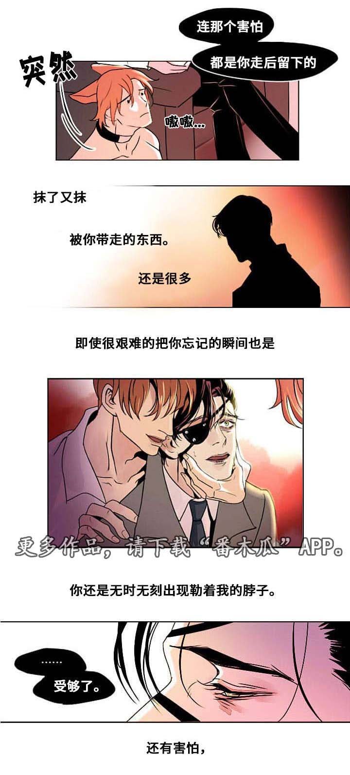 第7章：相像之人