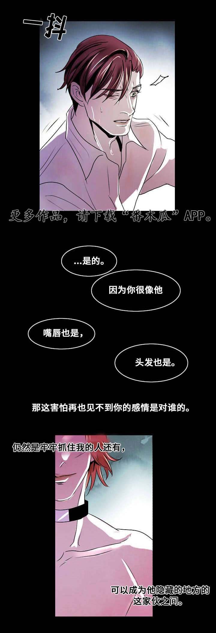 第7章：相像之人