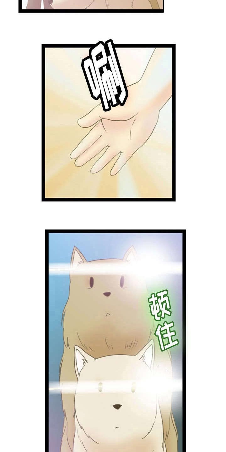 第13章：宇宙的奥妙