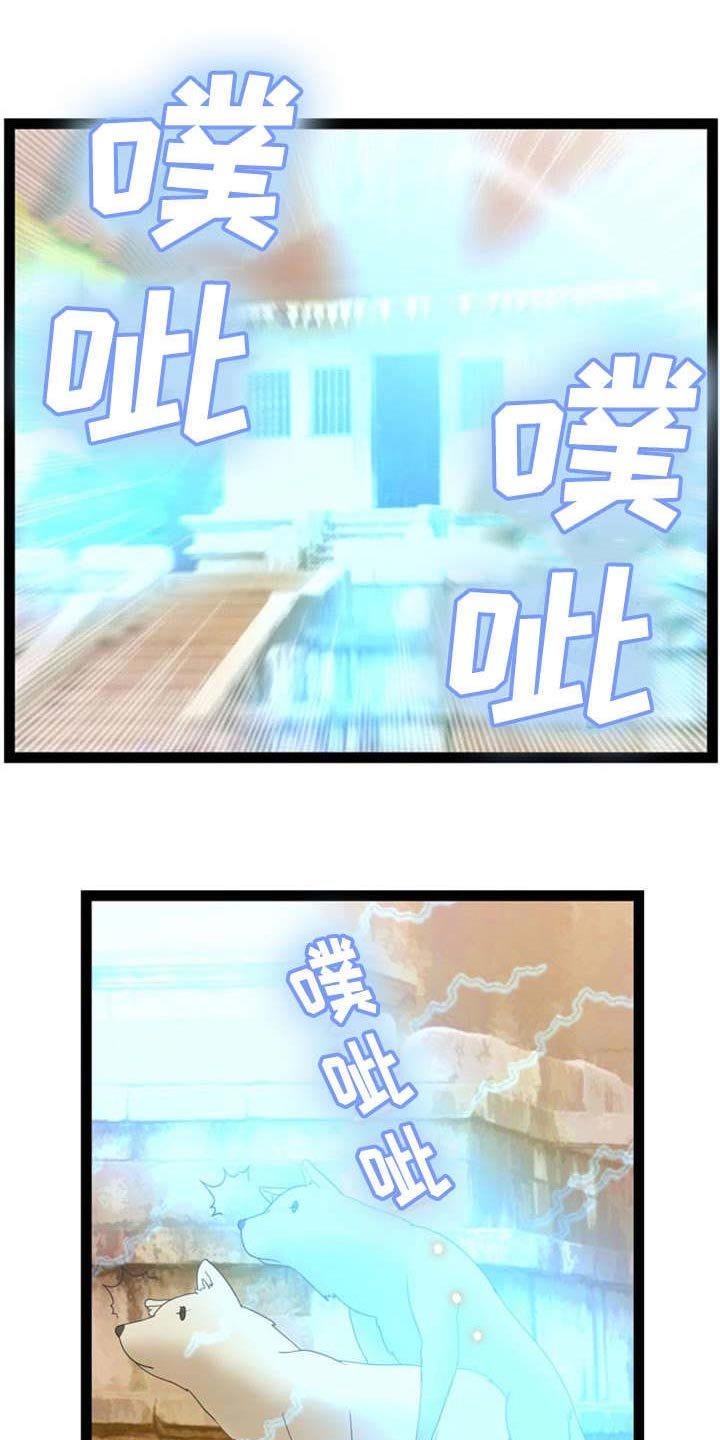 第14章：窃贼