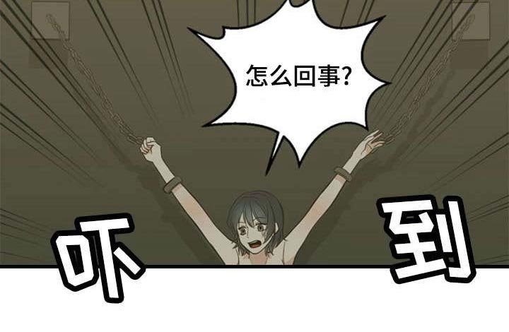 第37章：暴露