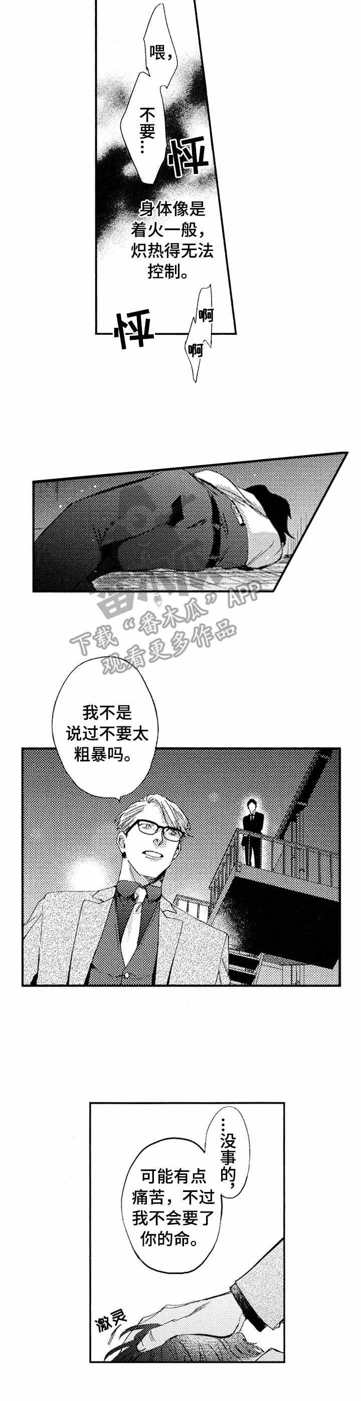 第16章：暴露