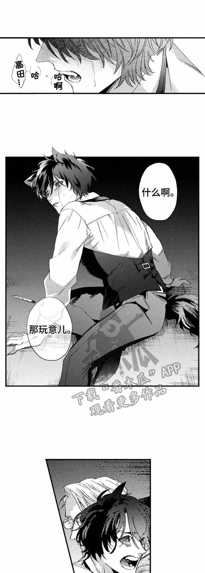 第16章：暴露