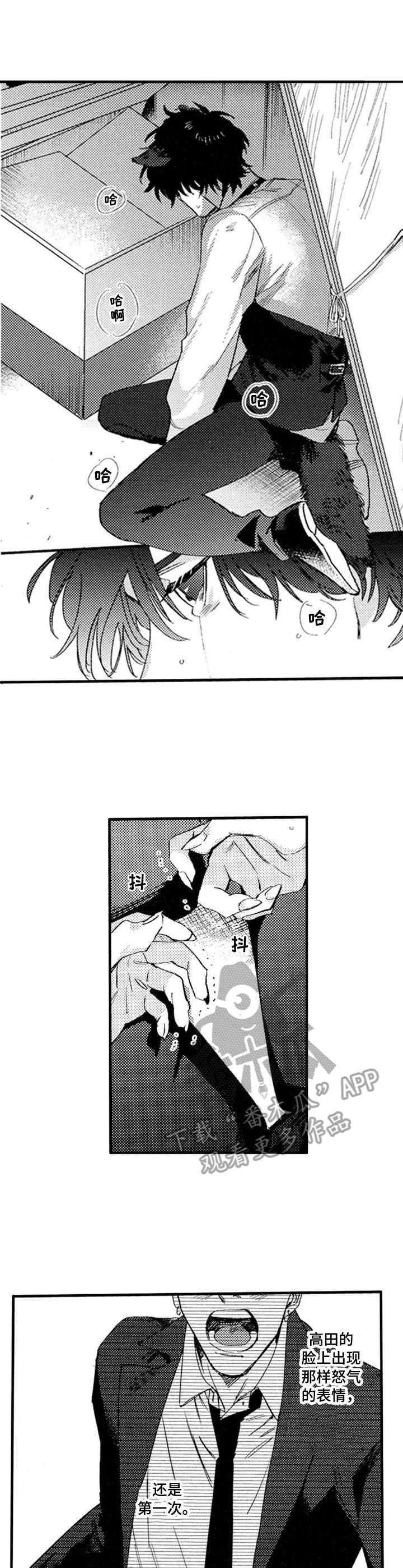第17章：追捕