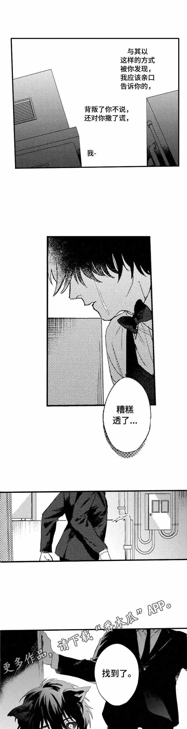 第17章：追捕
