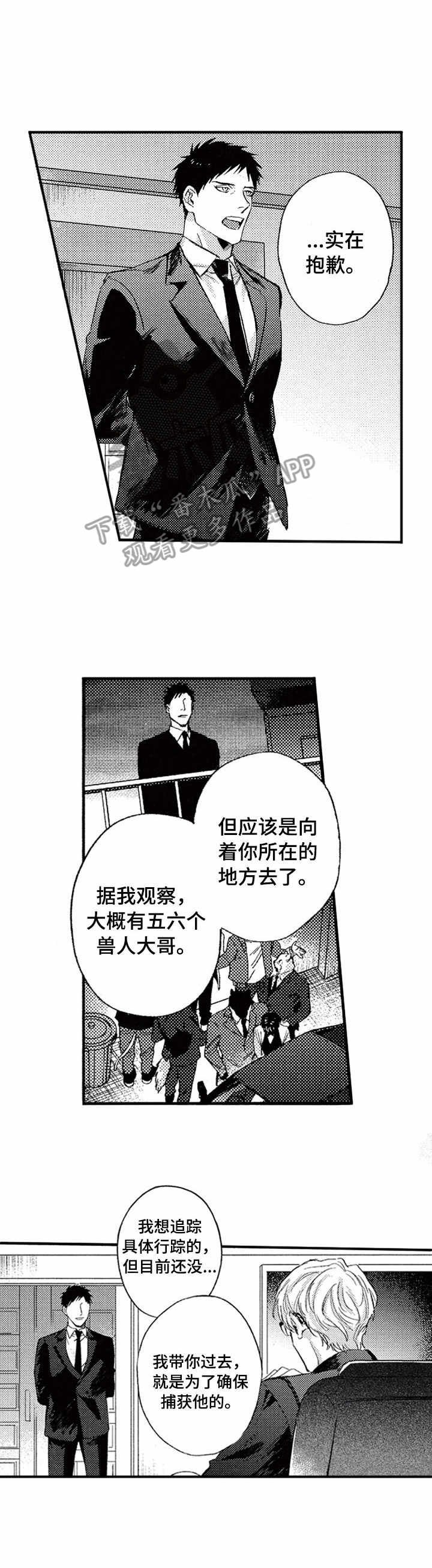 第17章：追捕