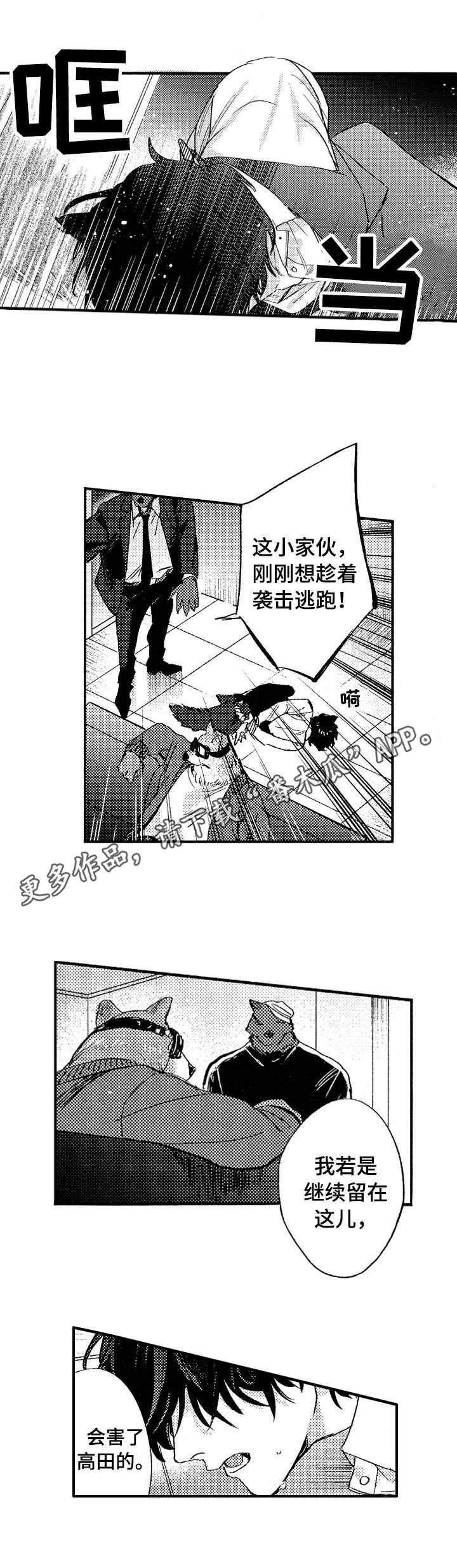 第19章：救援