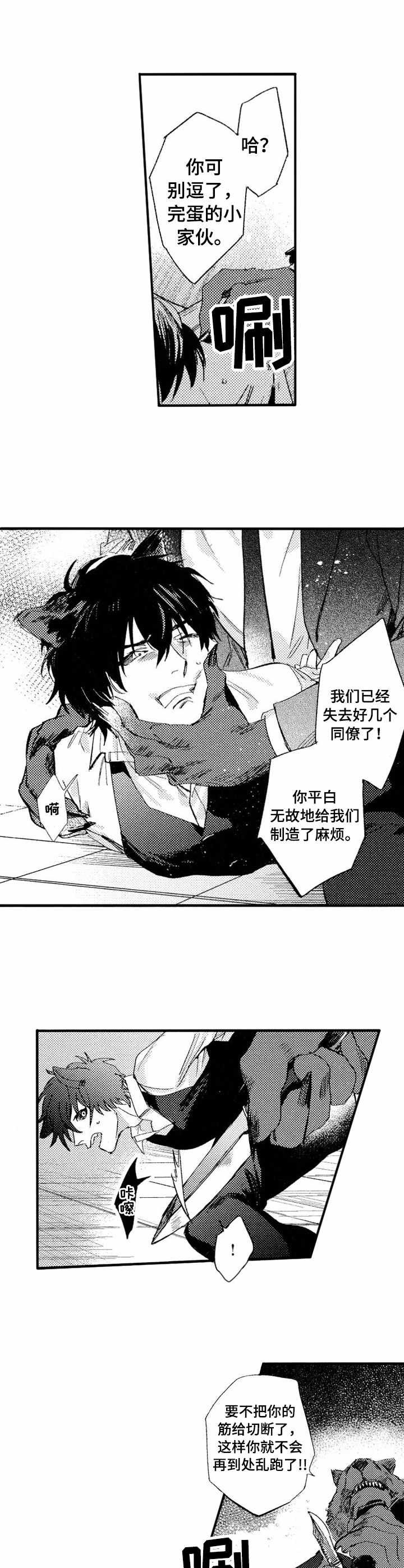 第19章：救援