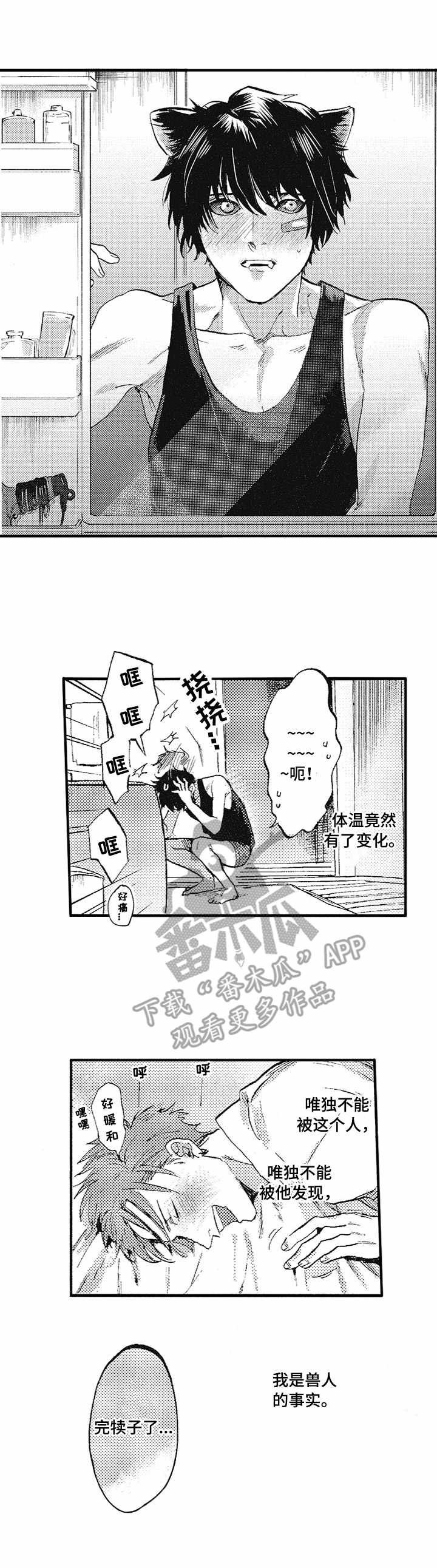 第4章：兽人