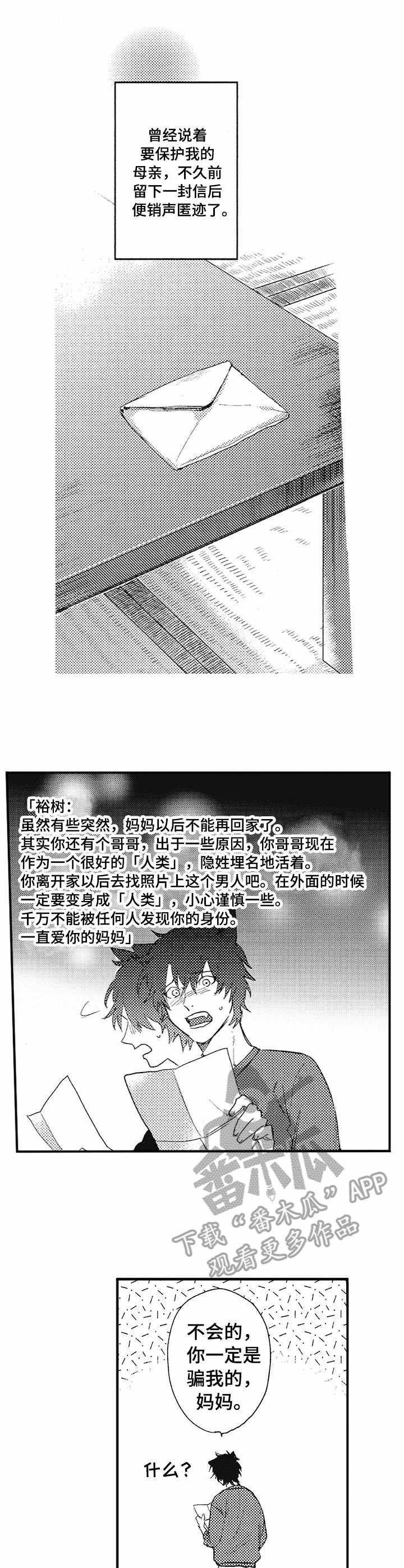 第5章：纠缠