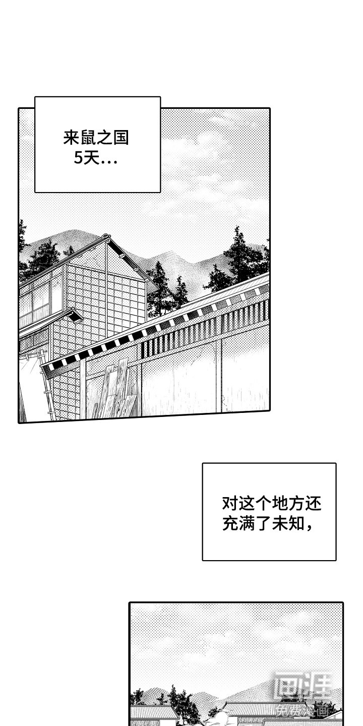 第13章：迷路