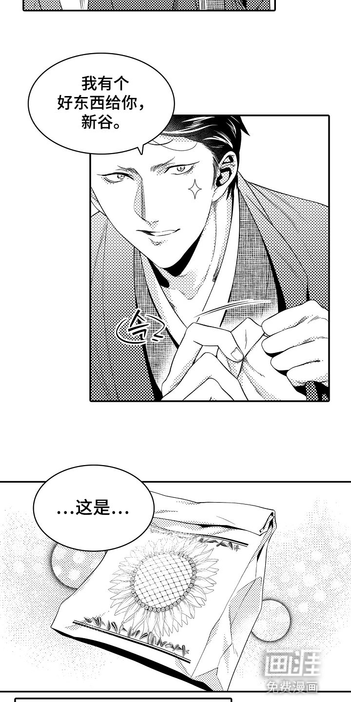 第19章：好东西