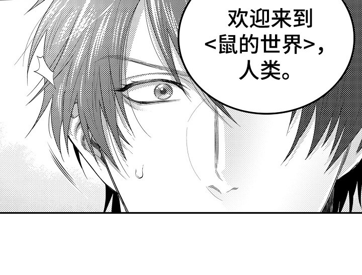 第3章：引路者