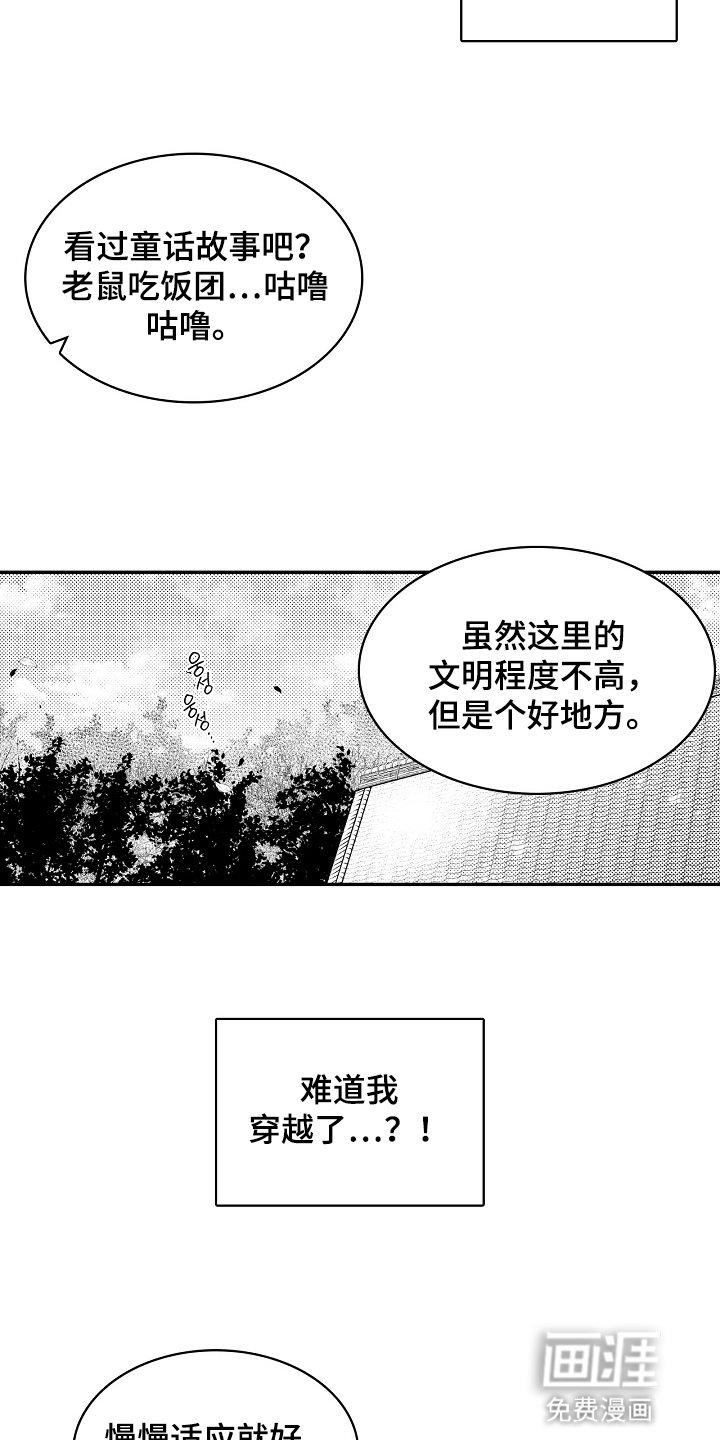 第3章：引路者