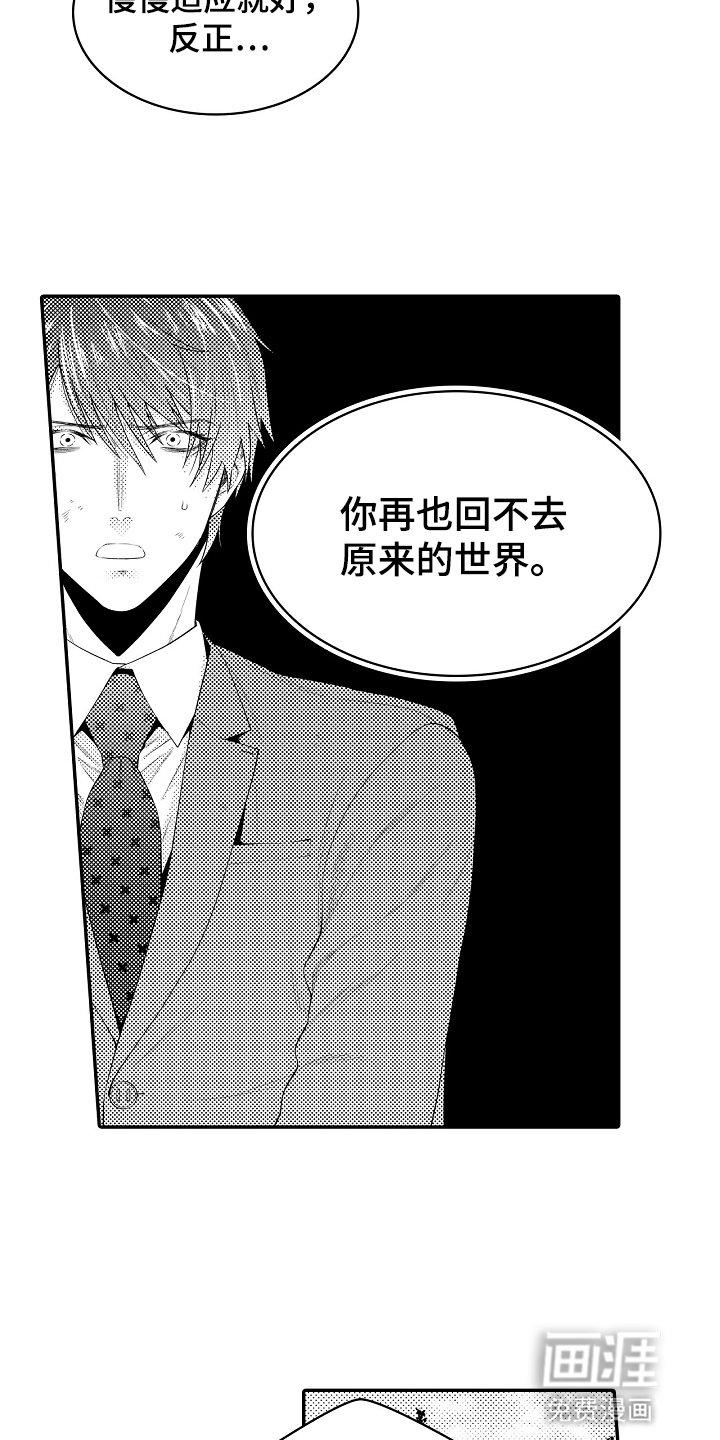 第3章：引路者