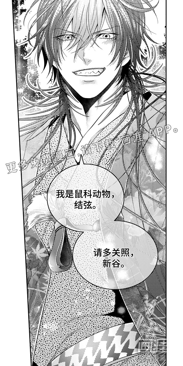第5章：沟鼠