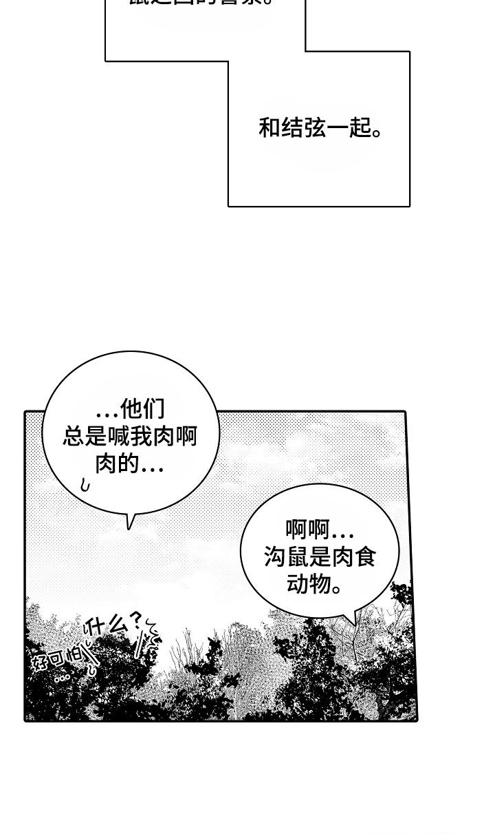 第5章：沟鼠