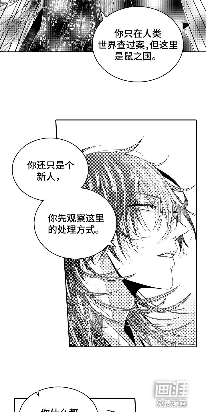 第9章：分歧
