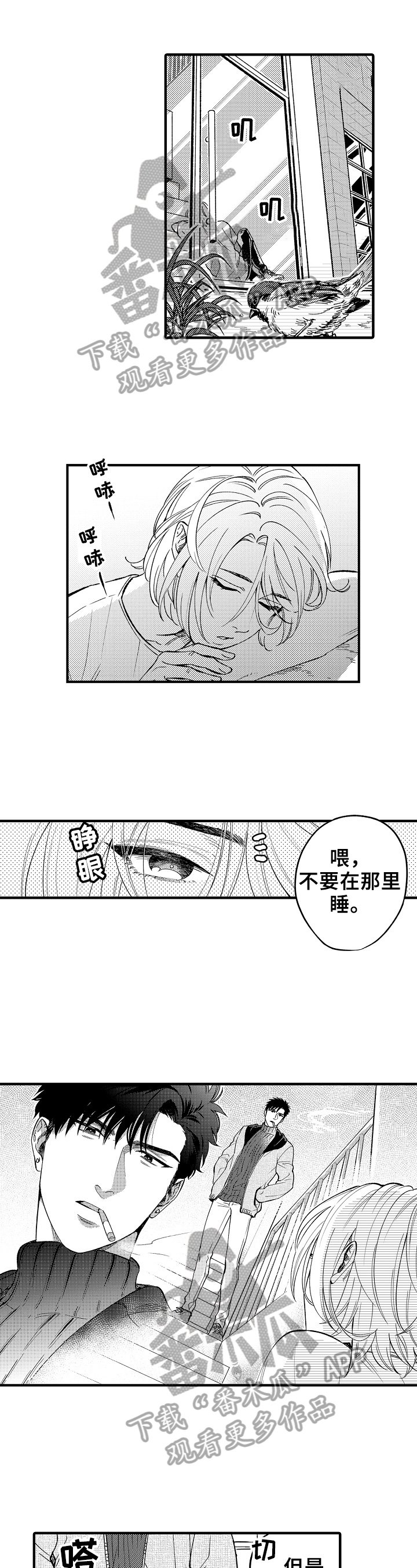 第9章：收留