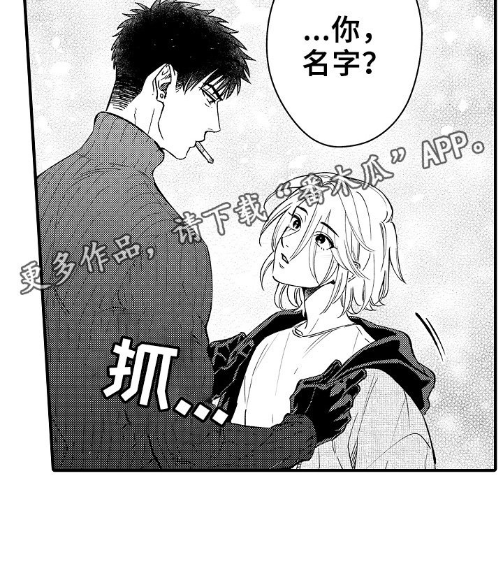 第9章：收留