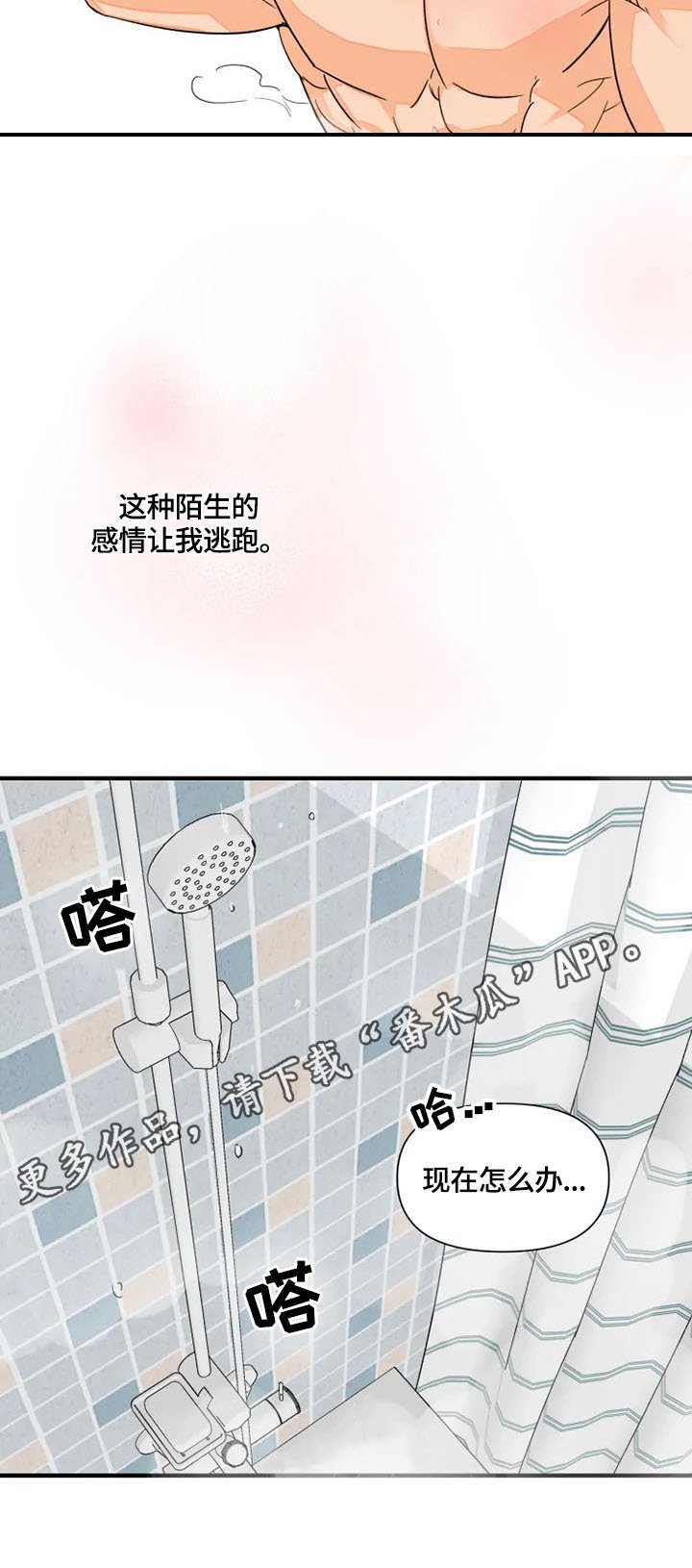 第11章：取名