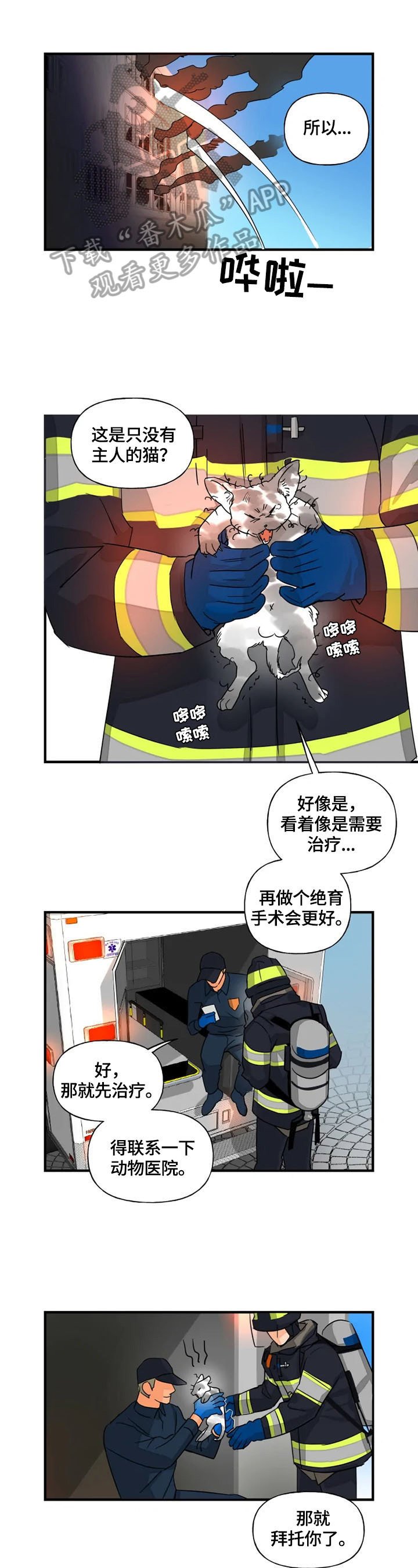 第11章：取名