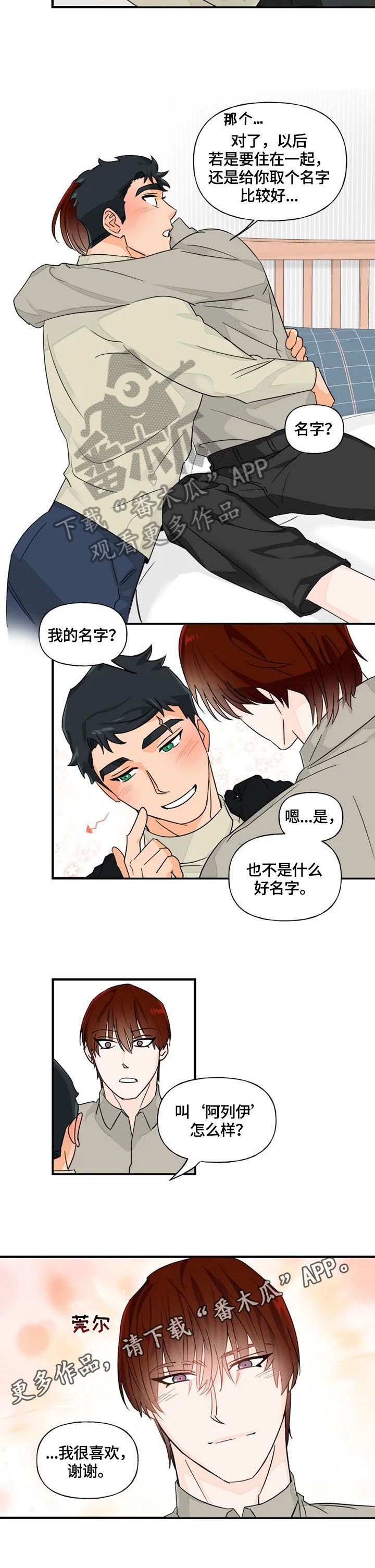 第11章：取名