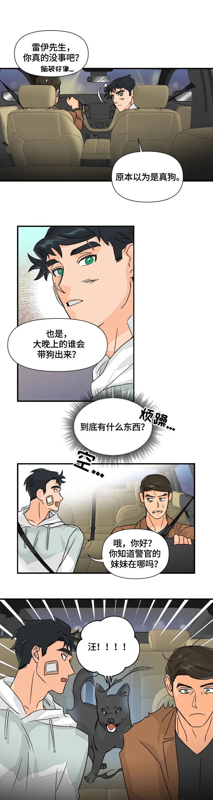 第21章：声音