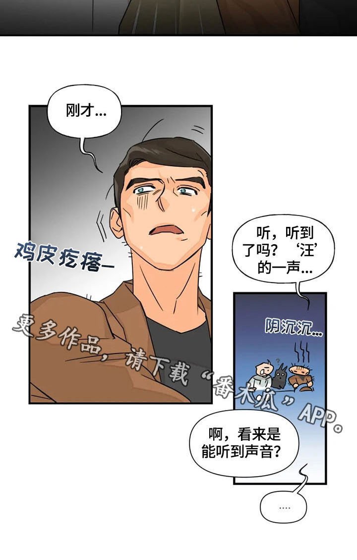 第21章：声音