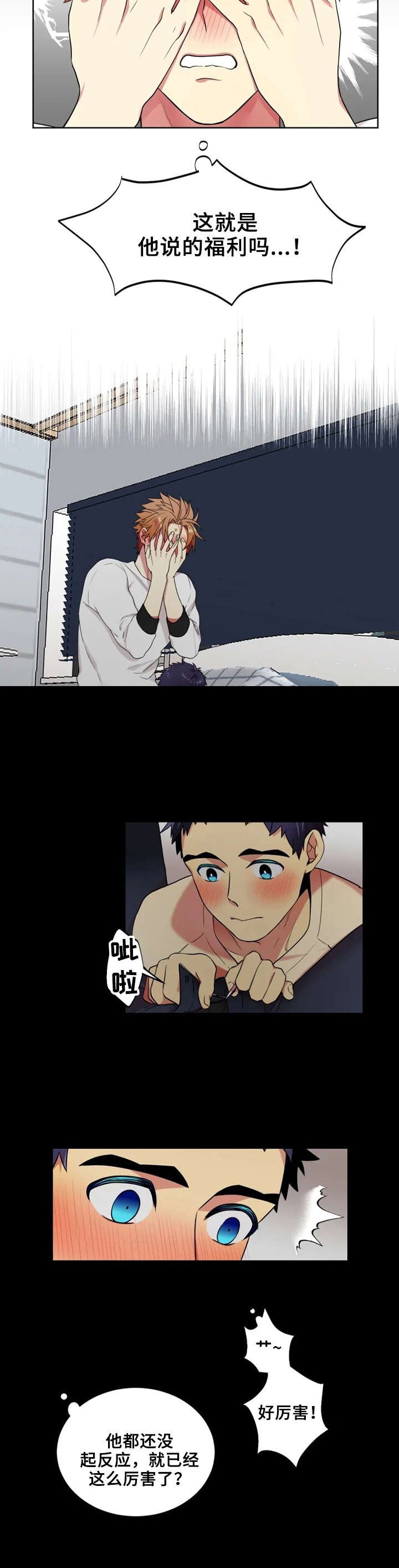 第17章：福利