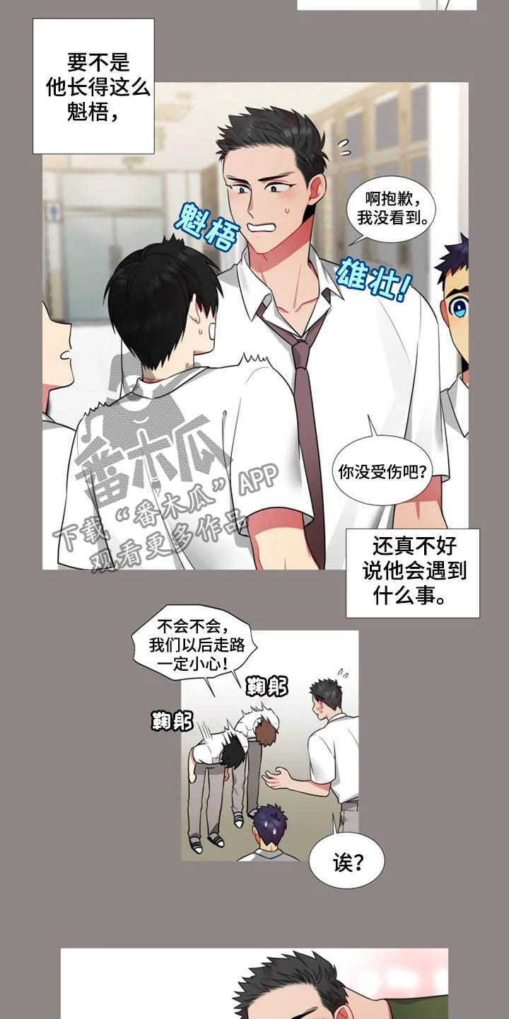 第39章：【第二季】喜欢兔子